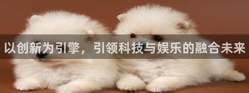 摩根娱乐