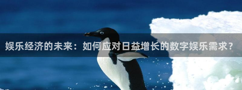 摩根娱乐