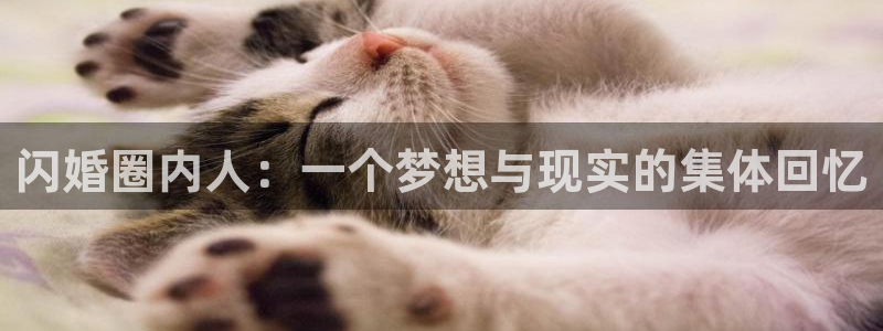 摩根娱乐