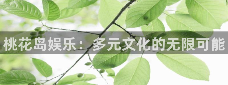 摩根娱乐