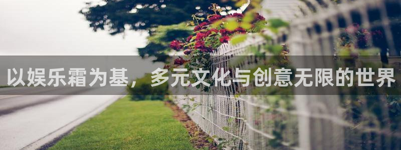 摩根娱乐